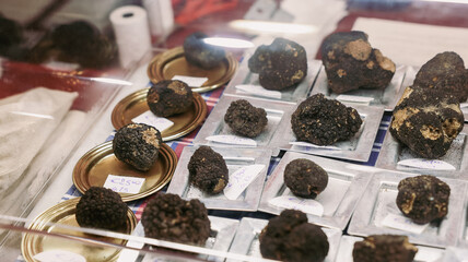 Artisan truffles on display at Alba Truffle Festival in Italy showcasing local delicacies