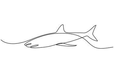 Obraz premium Continuous one line drawing of shark fish. Simple illustration of saltwater fish line art vector illustration, One line drawing of a shark. Graphic vector illustration of shark continuous line drawing
