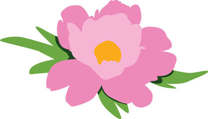 Fototapeta premium Pink Flat Peony Flower Illustration