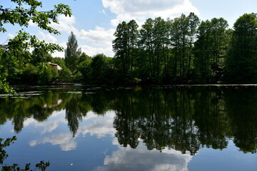 A view of a vast river or lake surrounded from all sides with reeds, shrubs, forests, and moors with some water lillies on the surface of the reservoir seen on a cloudy yet warm summer day in Poland