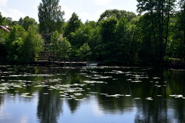 A view of a vast river or lake surrounded from all sides with reeds, shrubs, forests, and moors with some water lillies on the surface of the reservoir seen on a cloudy yet warm summer day in Poland