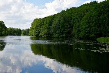 A view of a vast river or lake surrounded from all sides with reeds, shrubs, forests, and moors with some water lillies on the surface of the reservoir seen on a cloudy yet warm summer day in Poland