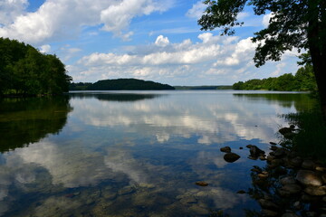 A view of a vast river or lake surrounded from all sides with reeds, shrubs, forests, and moors with some water lillies on the surface of the reservoir seen on a cloudy yet warm summer day in Poland