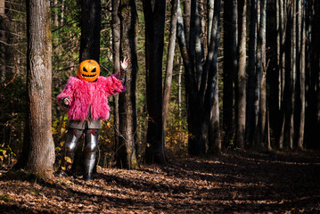 Glamour scarecrow