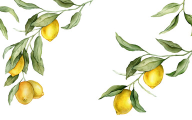 Lemon Fruits rectangular Frame. Hand drawn watercolor illustration of Border with Citrus branches on white isolated background. Drawing with tropical fruit lemon for food label or cards design.