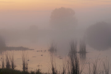 Obraz premium morning mist over the river