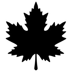 Maple Leaf silhouette isolated on white background 