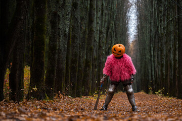 Pumpkin knight