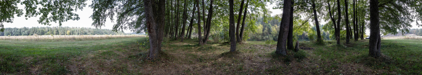 Forest and lake HDRI landscape, 360 degree panorama