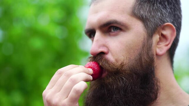 Close-up portrait of bearded man holding a strawberry in mouth. Man in love with strawberry. Erotic concept. Oral pleasure. Man licking strawberry with tongue. Romantic oral sex. Strawberry in mouth.