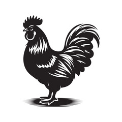Chicken Line Art - Realistic Vector Outline on White.