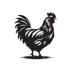 Detailed Chicken Vector Drawing - Outline on White Background.
