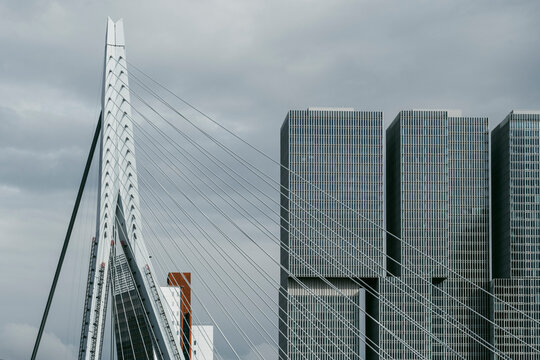 Dramatic view of an iconic suspension bridge contrasting with adjacent modern skyscrapers, set against a cloudy sky, blending engineering excellence with architectural marvel in Rotterdam