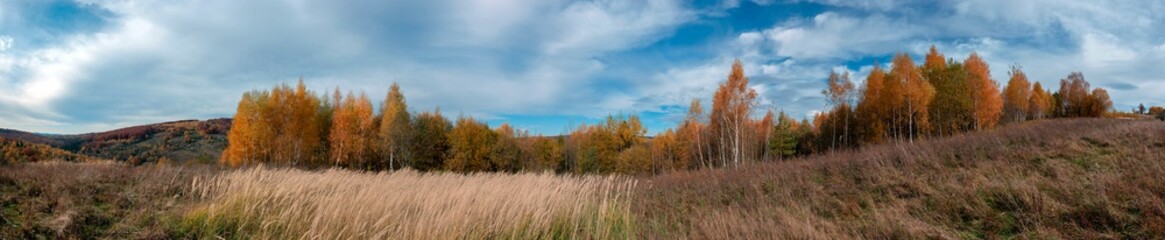 Panoramic nature landscape, soft pastel colors, dream nature, sunset autumn background, peaceful amazing nature panorama