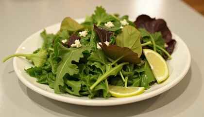  Fresh salad with lemon ready to be enjoyed
