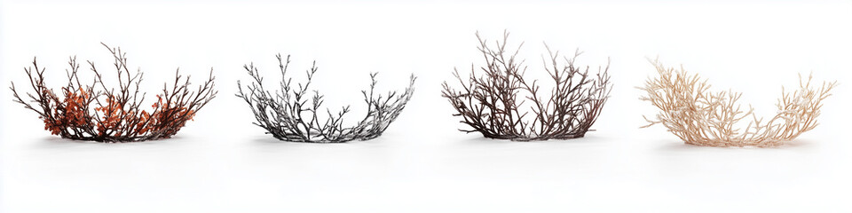 Fototapeta premium Four different color variations of a twig wreath isolated on a white background.