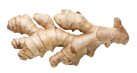 Ginger root close-up on white. Top view