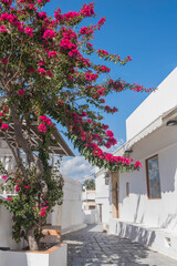 Gasse in der Altstadt von Lindos, Rhodos