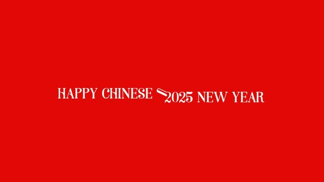 Chinese New Year 2025 motion animation