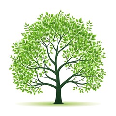 Obraz premium A lush green tree with vector illustration
