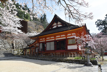 春の談山神社　神廟拝所　奈良県桜井市多武峰