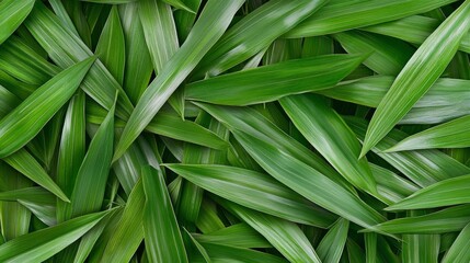 Fototapeta premium Lush Green Leaf Texture Background Nature Pattern Organic Foliage Tropical Plants