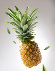 Fototapeta premium Pineapple fruits with leaves floating or flying isolated white background
