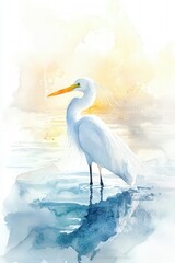Obraz premium Watercolor painting of a white heron standing in shallow water with its reflection visible, set against a backdrop of a serene sunset