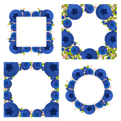 Square and circle of transparent blueberry flowers greeting card and invitation template for wedding or birthday anniversary, Vector shape of text box label and frame