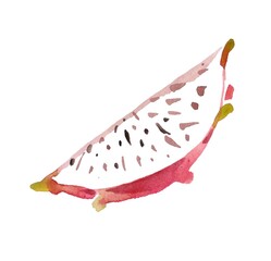 Beautiful decorative watercolor outline of a dragon fruit slice, showcasing vibrant colors and intricate details, perfect for culinary, botanical, and design projects.