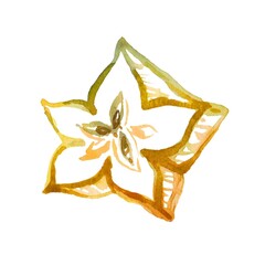 Colorful decorative watercolor illustration of a sliced carambola fruit. This beautiful artwork highlights the fruit's unique star shape and vibrant hues.