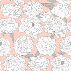 White peonies on a pink background with a black outline. Floral seamless pattern.
