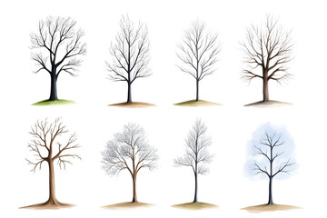 Obraz premium Hand drawn trees collection, black and white, isolated on white 