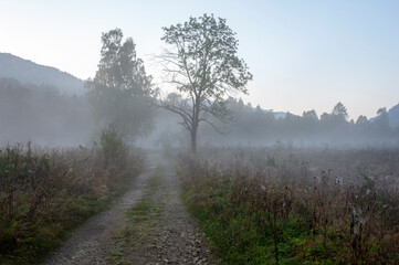 Fog in the mountains in autumn, stretches through the valley between the peaks and the forest.