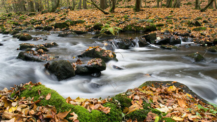 The photograph shows the Chrudimka River in autumn, with smooth, flowing water captured through a...