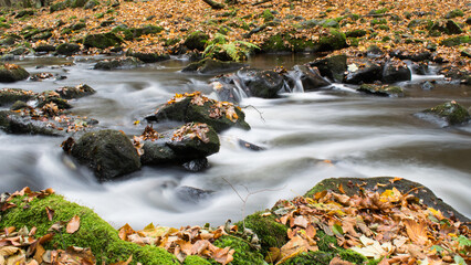 The photograph shows the Chrudimka River in autumn, with smooth, flowing water captured through a...
