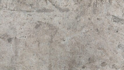 the background is a gray cement wall, 
horizontal photo, light gray and dark gray