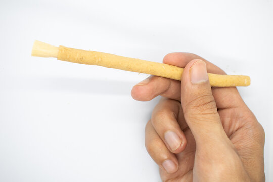 holding miswak or siwak toothbrush on isolated white background.