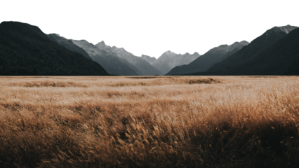 PNG Grassland in Milford Sound, New Zealand collage element, transparent background