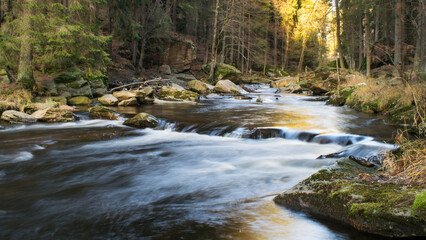 A long exposure shot of the Divoká Orlice River flowing through an autumn forest.