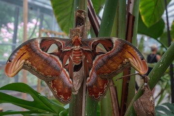 Terni Waterfall Italy