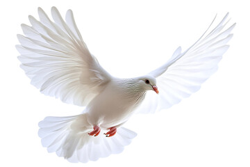 Obraz premium White dove in flight with spread wings, isolated on transparent cutout background
