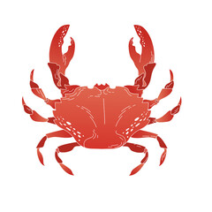 Png cancer astrological sign sticker, transparent background