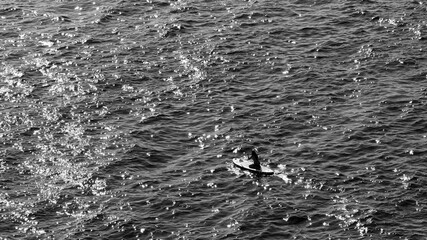 a woman paddleboarding in the middle of the ocean
