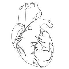 One continuous single drawing line art doodle single line, heart, love, design, valentine, romantic. Isolated flat illustration hand draw contour on a white background
