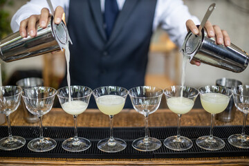 Bartender Pouring Cocktails in an Elegant Setting