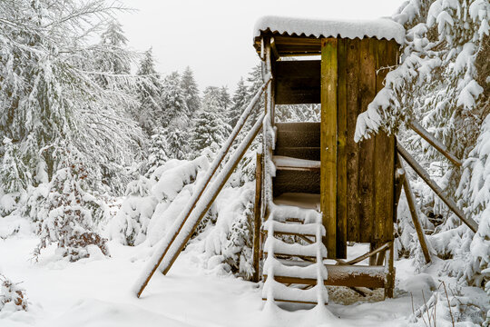Snowy Hideout