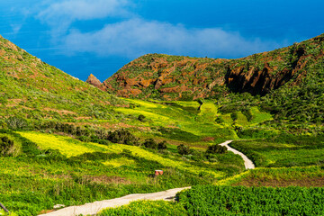 Road to Paradise