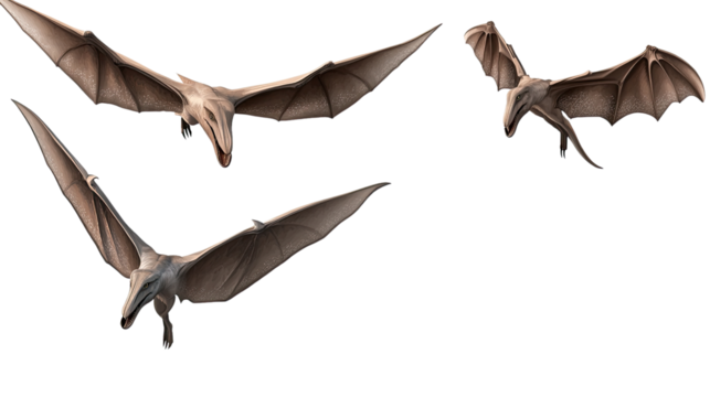 A Halloween-themed black silhouette of a bat resting on a white leaf, designed as a colorful vector illustration