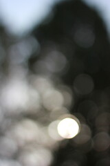 An abstract view of bright white lights shimmering in the darkness.